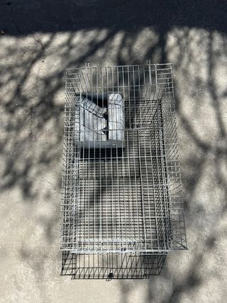 OPORTUNIDAD JAULAS GRANJA CONEJOS.URGE x TRASALADO