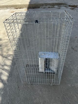 OPORTUNIDAD JAULAS GRANJA CONEJOS.URGE x TRASALADO