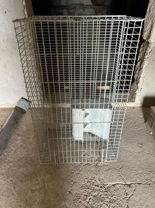 OPORTUNIDAD JAULAS GRANJA CONEJOS.URGE x TRASALADO