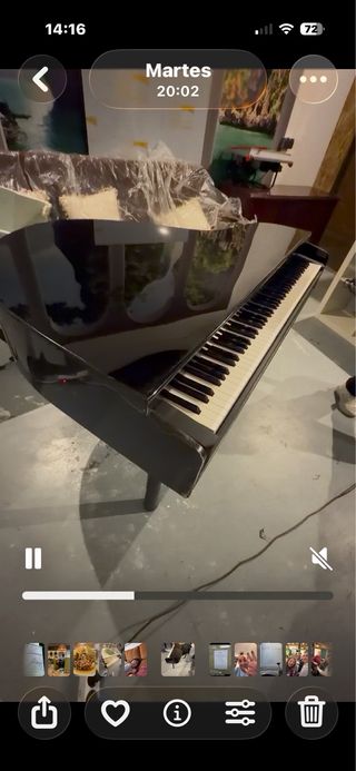 Alquiler 90€ más IVA carcasa de piano de cola.