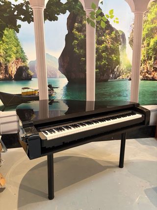 Affitto 90€ più IVA scocca di pianoforte a coda