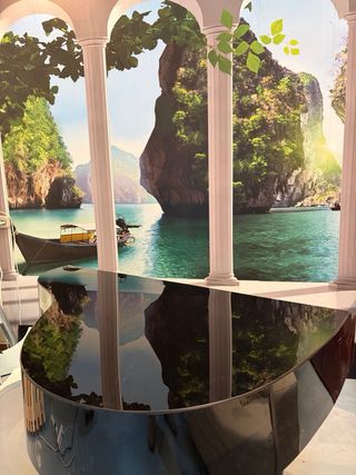 Affitto 90€ più IVA scocca di pianoforte a coda