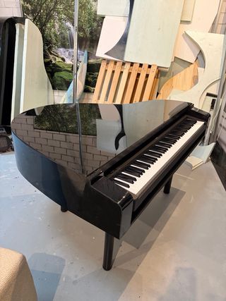 Affitto 90€ più IVA scocca di pianoforte a coda
