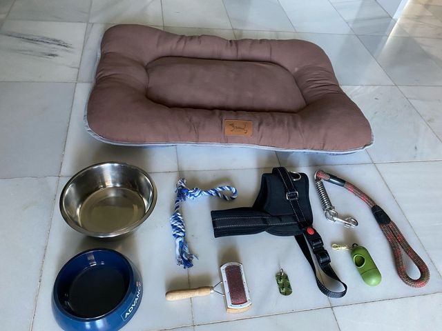 Cama perro + accesorios