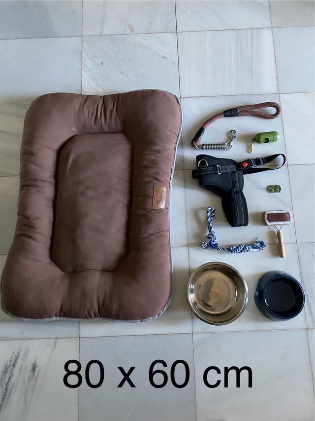 Cama perro + accesorios