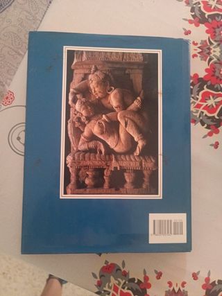 Kama Sutra (Clasicos de la Literatura Erotica 