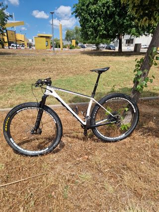 Bicicleta scott scale carbono talla l