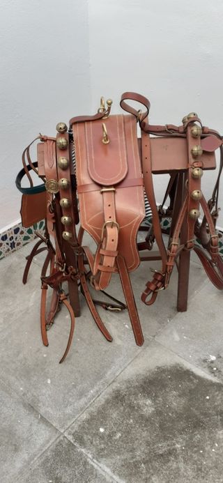 Guarnición Caballo Piel
