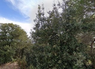 Terreno en venta en Matadepera