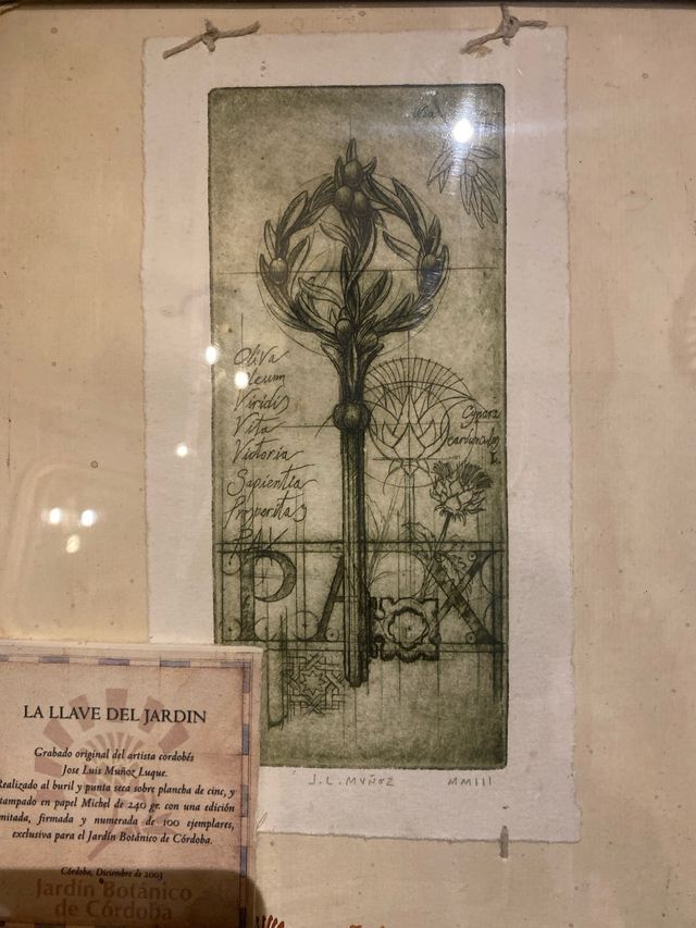 Grabado Jardín Botánico Córdoba