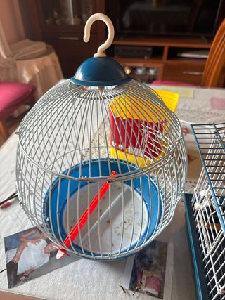 2 Jaulas pájaros - Azul y Blanco