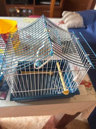 2 Jaulas pájaros - Azul y Blanco