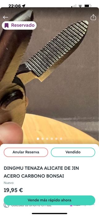 DINGMU TENAZA ALICATE DE JIN ACERO CARBONO BONSAI