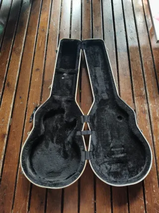 Maleta para guitarra les Paul gator