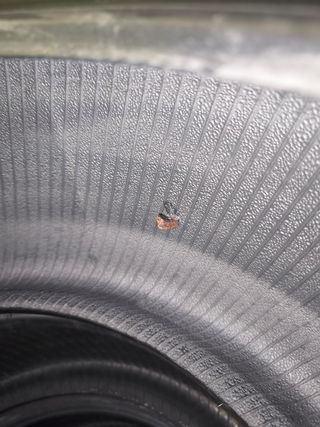 Neumático Goodyear Eagle F1