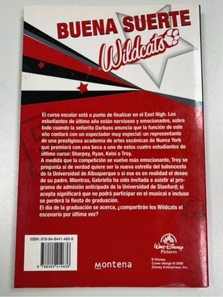 High School Musical 3. La novela
