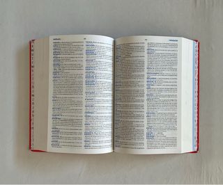 Diccionario Secundaria y Bachillerato. Lengua e...