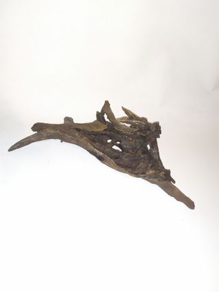 Bellissimo legno decorativo per acquario, perfetto