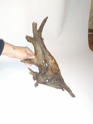 Bellissimo legno decorativo per acquario, perfetto