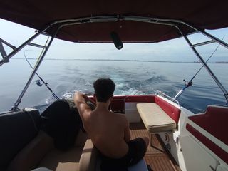 Embarcación Sealine 218 - Buen estado