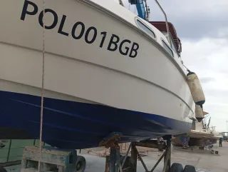 Embarcación Sealine 218 - Buen estado