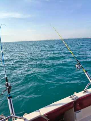 Embarcación Sealine 218 - Buen estado