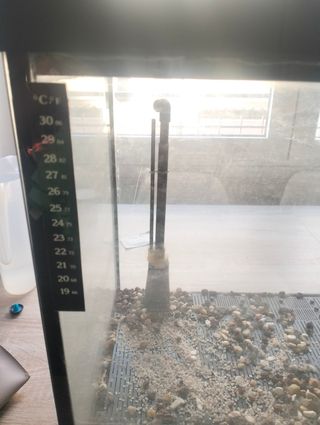 Acuario 90L - perfecto estado