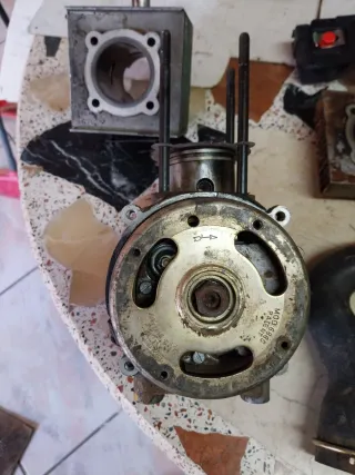 Motor  motoazada Minarelli Motasa: