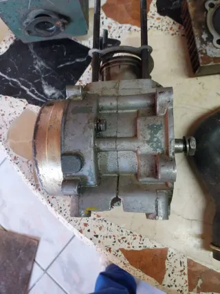 Motor  motoazada Minarelli Motasa: