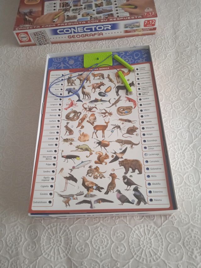 Connettore Geografia Educa 7-12 anni