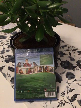 PACK!! Blu-ray Solo en Casa +Big “PRECINTADOS”