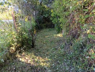 Se hacen trabajos de desbroze y mantenimiento.