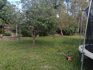 Se hacen trabajos de desbroze y mantenimiento.