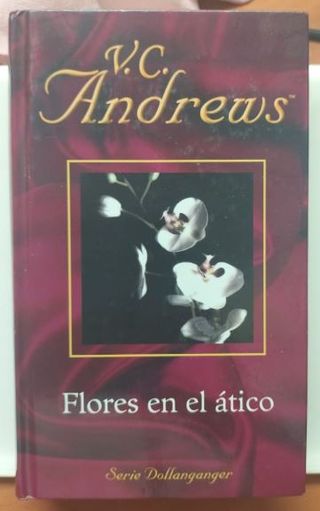 LITERATURA - NOVELAS VARIADAS LOTE 13