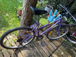 Bicicleta montaña vintage