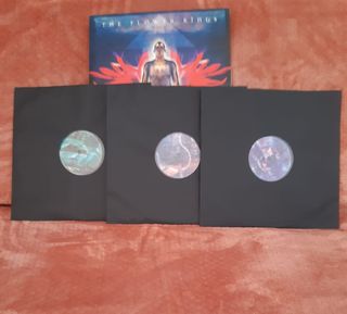 Vinilo The Flower Kings - Unfold the Future