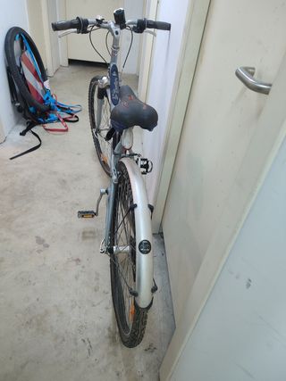 Bicicleta montaña adulto
