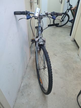 Bicicleta montaña adulto