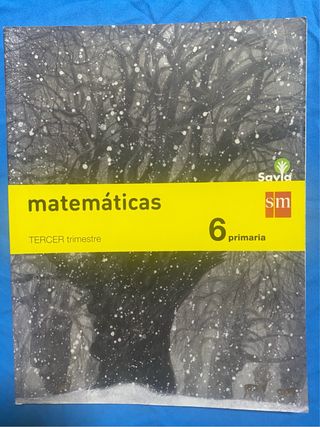 Matemáticas. 6 Primaria. Savia (Spanish Edition)