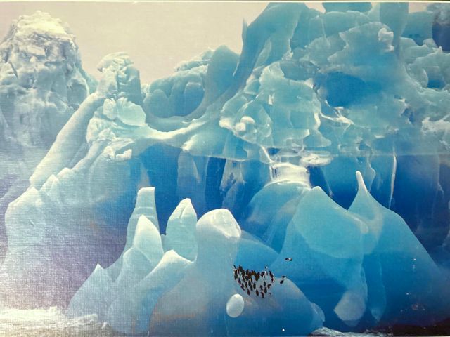 Puzzle Iceberg 500 piezas