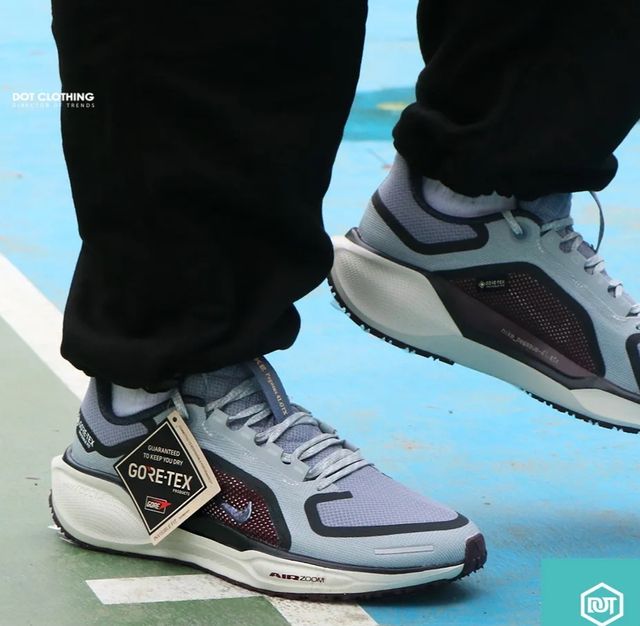 Zapatillas Nike Air Pegasus 41 PRM Gore-Tex Gris.