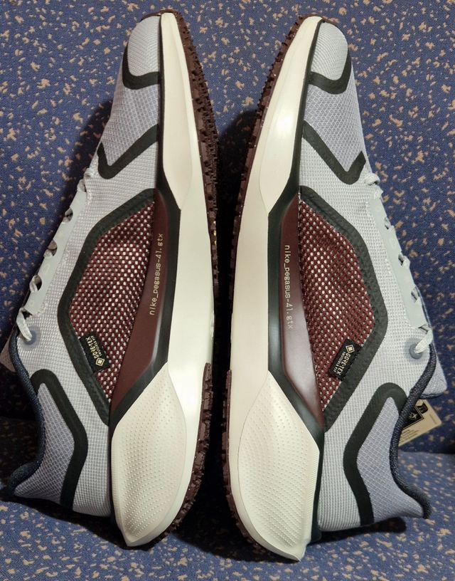 Zapatillas Nike Air Pegasus 41 PRM Gore-Tex Gris.
