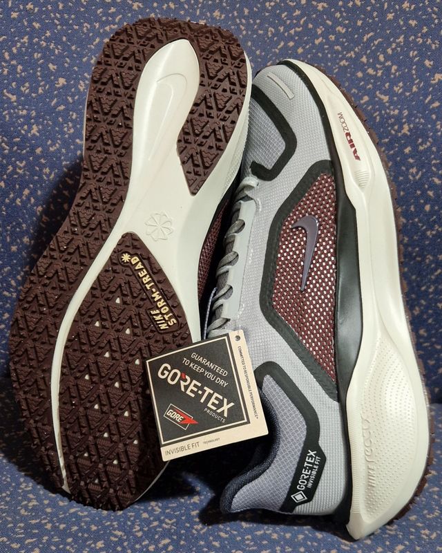 Zapatillas Nike Air Pegasus 41 PRM Gore-Tex Gris.