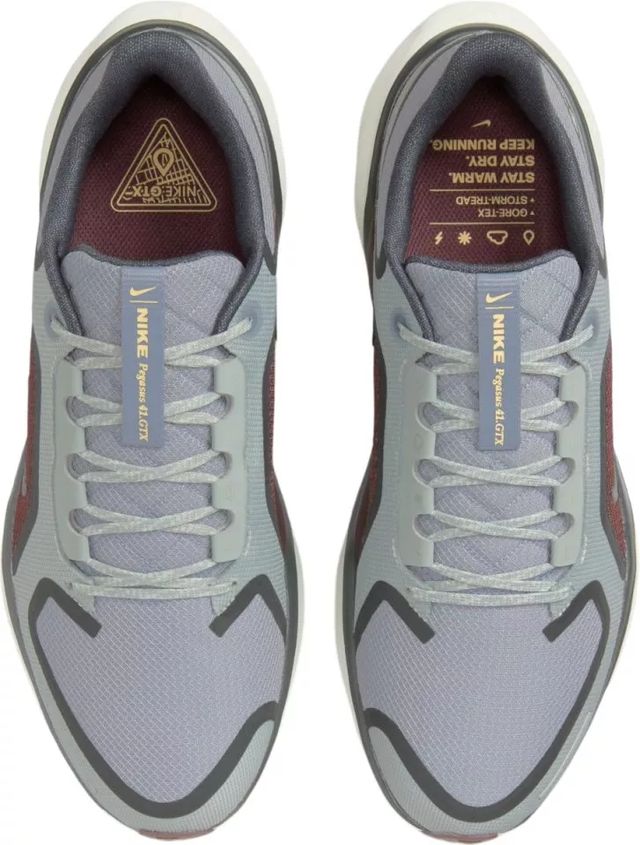 Zapatillas Nike Air Pegasus 41 PRM Gore-Tex Gris.