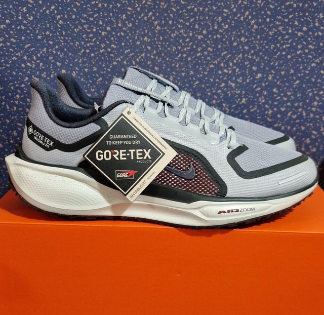 Zapatillas Nike Air Pegasus 41 PRM Gore-Tex Gris.