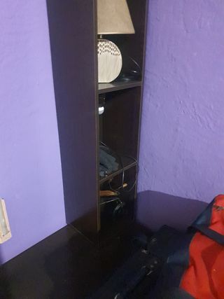 Muebles salón: 2 módulos