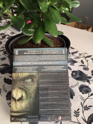 Planeta d ls Simios. Evo. Collection “PRECINTADA”