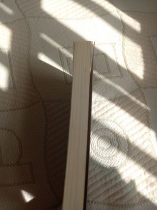 La segunda vida de Bree Tanner (Saga Crepúsculo)