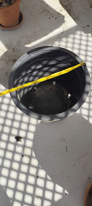 Lote maceteros y platos