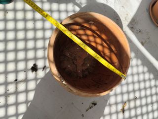 Lote maceteros y platos